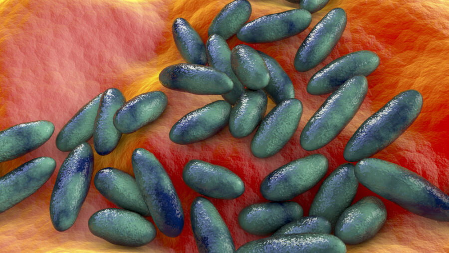 Bacteria Yersinia pestis, ilustración 3D científicamente precisa  Imagen Depositphotos.com